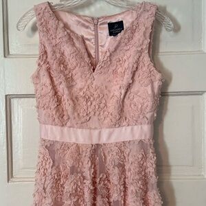 Adrianna Papell Pink Tulle Dress